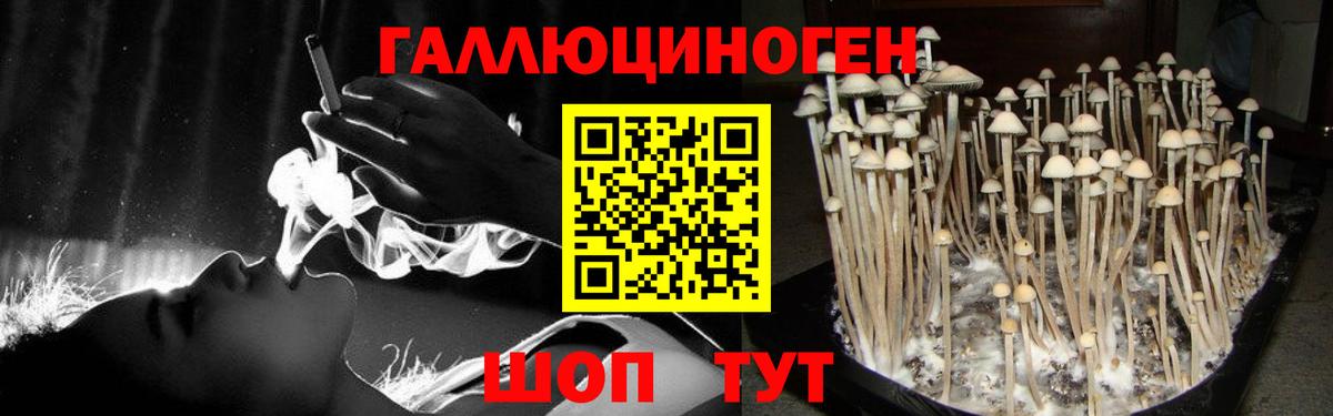 Галлюциногенные грибы ЛСД Борисоглебск